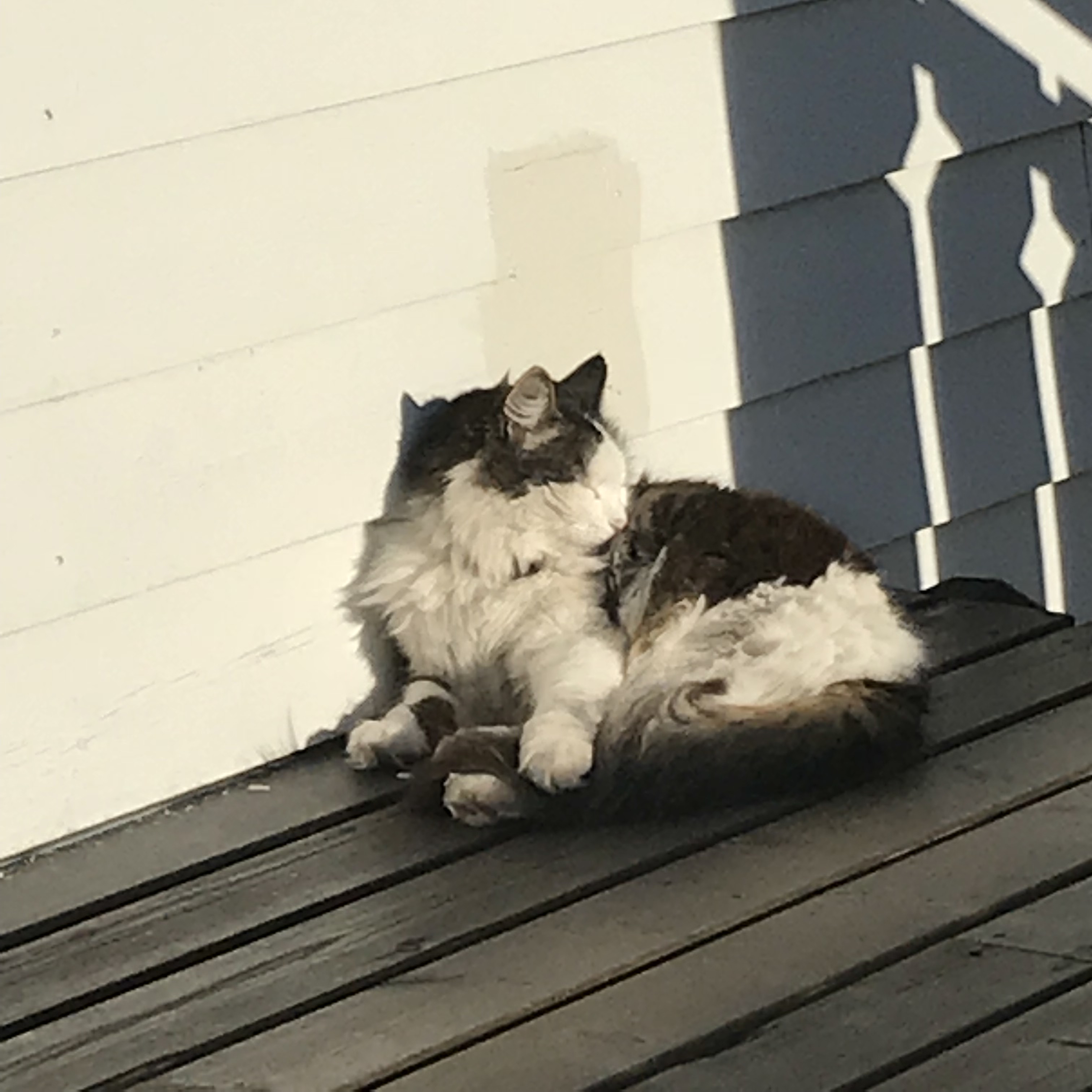 Mystery Blogger Award | Book Things