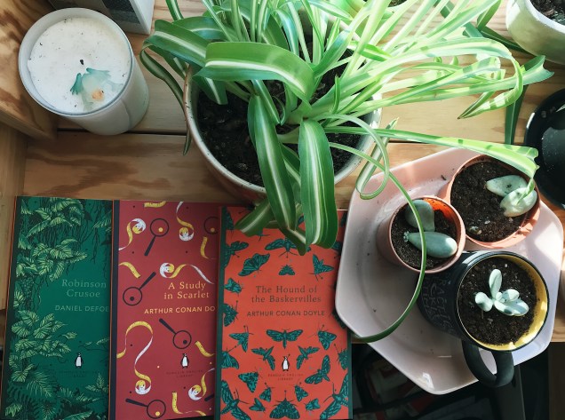 all the book hauls | Bi-Weekly Update
